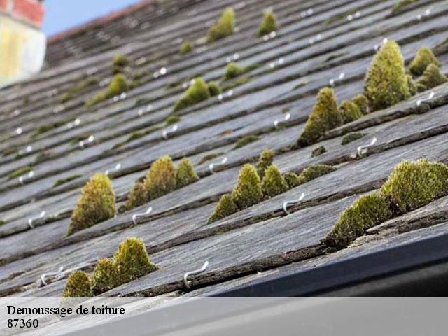 Demoussage de toiture 87360