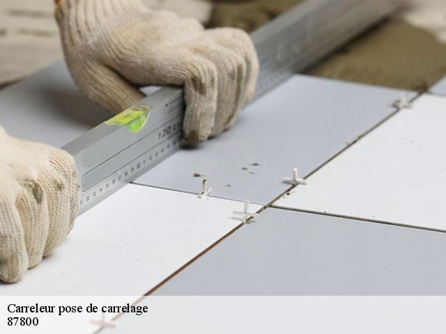 Carreleur pose de carrelage  87800