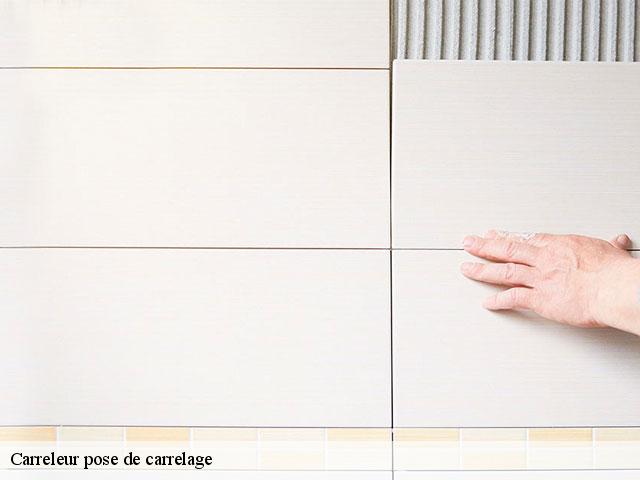 Carreleur pose de carrelage