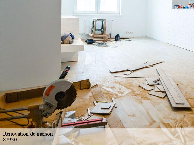 Rénovation de maison 87920